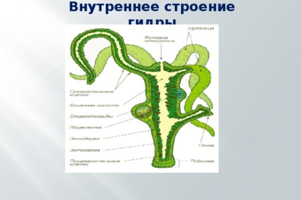 Купить гашиш бошки